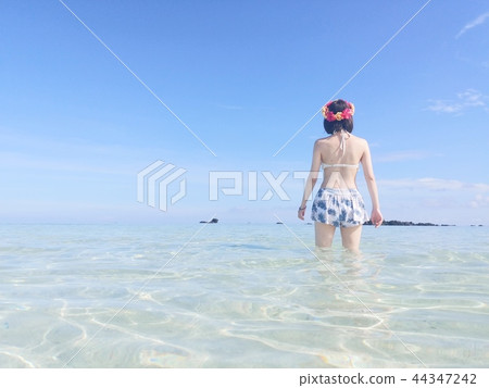 進入大海的女孩 44347242