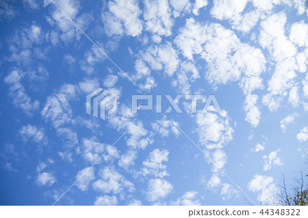羊雲 44348322