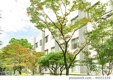 Tokyo Gakugei University 44351339