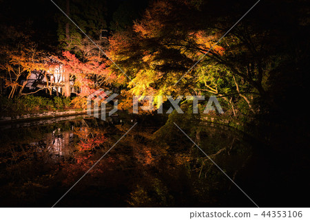 light up autumn garden, Kiyomizu temple light up autumn garden, Kiyomizu temple 44353106
