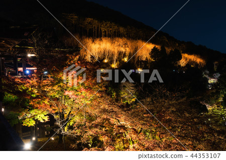 light up Kiyomizu temple in autumn, Kyoto light up Kiyomizu temple in autumn, Kyoto 44353107