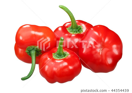 Aji Brazilian Pumpkin peppers, paths 44354439