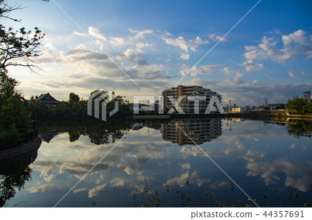 Early morning scenery of Osaka Toyonaka City and Wakatake Pond Early morning scenery of Osaka Toyonaka City and Wakatake Pond 44357691