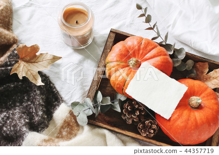 Autumn cozy composition. Blank card mockup scene. Candle, eucalyptus leaves and pumpkins on wooden Autumn cozy composition. Blank card mockup scene. Candle, eucalyptus leaves and pumpkins on wooden 44357719