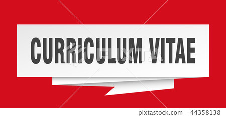 curriculum vitae curriculum vitae 44358138