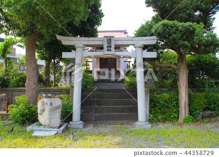 Yanagishima Nitto Asama Shrine / Kawanarijima, Fuji City, Shizuoka Prefecture Yanagishima Nitto Asama Shrine / Kawanarijima, Fuji City, Shizuoka Prefecture 44358729