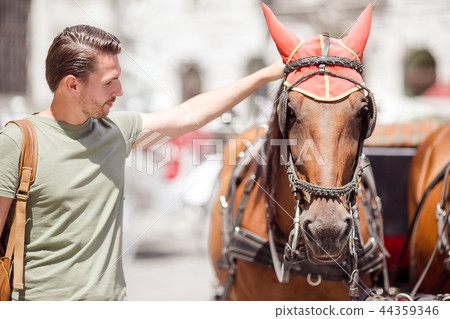 Tourist man enjoying a stroll through Vienna and looking at the two horses in the carriage 44359346