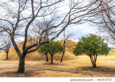 noseori gobungun in gyeongju noseori gobungun in gyeongju 44359757