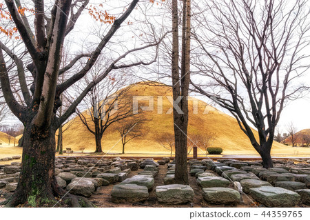 royal mounds excavation site 44359765