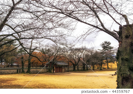 king michu of silla royal tomb 44359767