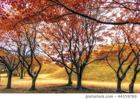 royal mounds with autumn foliage 44359769
