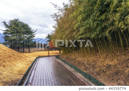 royal mounds in daereungwon 44359774