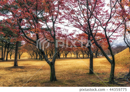 royal mounds with autumn foliage 44359775