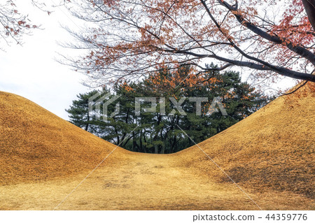 royal mounds with autumn foliage royal mounds with autumn foliage 44359776