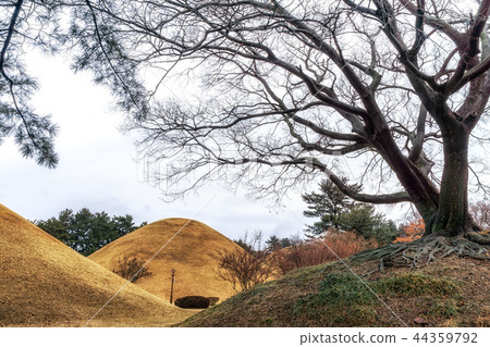 daereungwon tomb complex daereungwon tomb complex 44359792