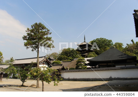 Taima-ji Nakanochan Taima-ji Nakanochan 44359804