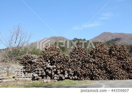 Satoyama和大量的木柴 Satoyama和大量的木柴 44359807