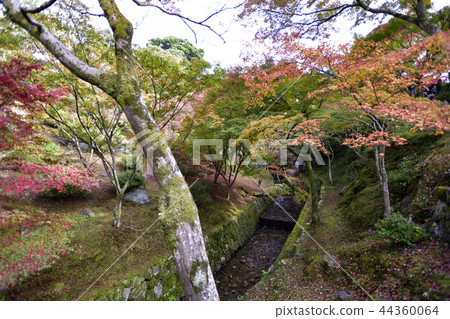 東福寺 東福寺 44360064