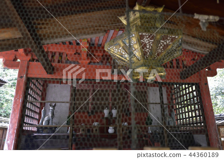 Tofuku-ji Five Companies Palace Palace 44360189