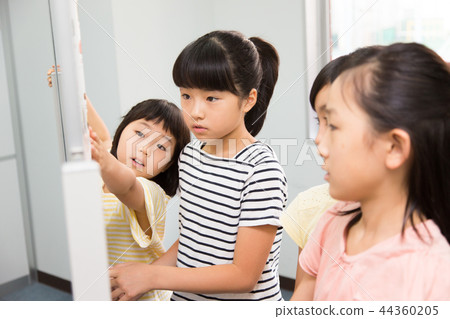 Elementary school girls Elementary school girls 44360205