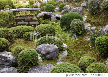 東福寺開園 東福寺開園 44360415