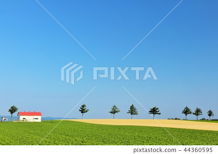 北海道藍天和童話的小山 44360595