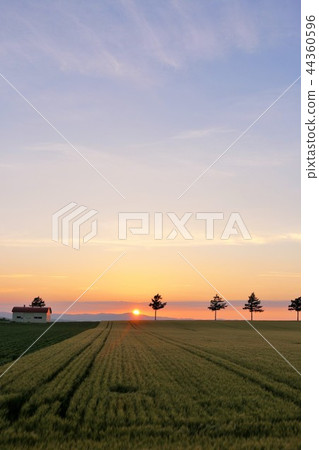 Earth of dusk of Hokkaido 44360596