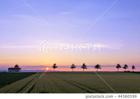 北海道黃昏的地球 44360599