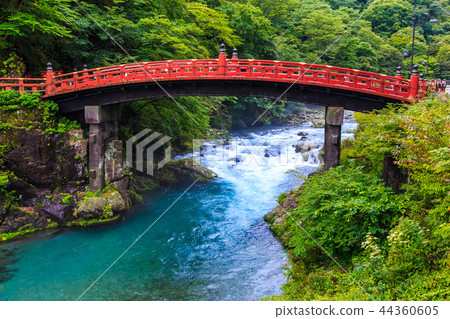 Fresh green Kamihashi World Heritage Site [Nikko, Tochigi Prefecture] 44360605