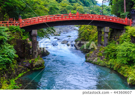 Fresh green Kamihashi World Heritage Site [Nikko, Tochigi Prefecture] 44360607