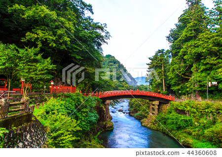 新鮮的綠色Kamihashi世界遺產[栃木縣日光] 44360608
