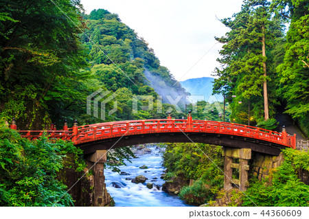Fresh green Kamihashi World Heritage Site [Nikko, Tochigi Prefecture] 44360609