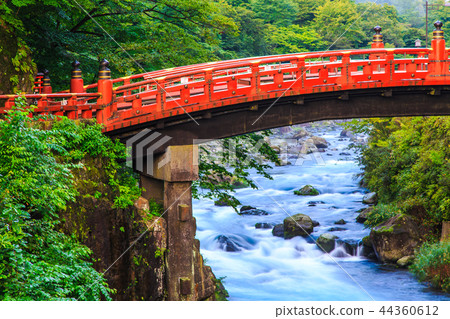 新鮮的綠色Kamihashi世界遺產[栃木縣日光] 44360612