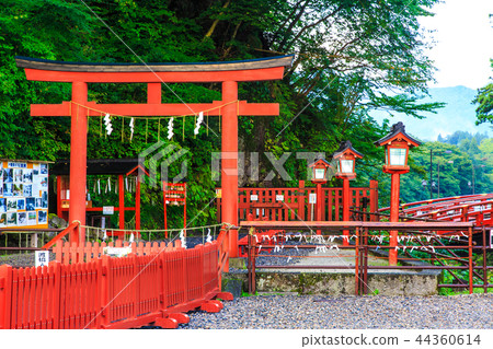 新鮮的綠色Kamihashi世界遺產[栃木縣日光] 44360614