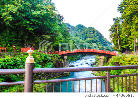 新鮮的綠色Kamihashi世界遺產[栃木縣日光] 44360615