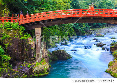 新鮮的綠色Kamihashi世界遺產[栃木縣日光] 44360617