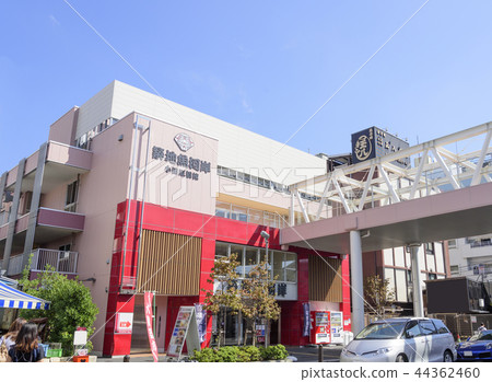 Odawara Bridge Building in Tsukiji Fish Market (Chuo-ku, Tokyo) Odawara Bridge Building in Tsukiji Fish Market (Chuo-ku, Tokyo) 44362460