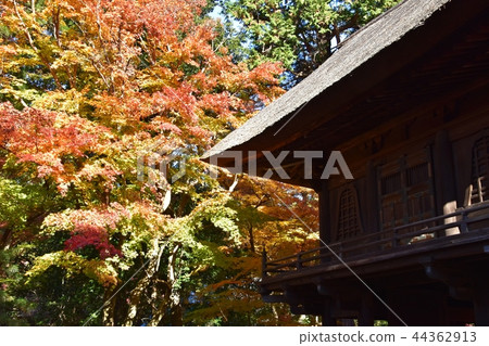 Hirabayashi寺廟地面到達了色的葉子的峰頂 Hirabayashi寺廟地面到達了色的葉子的峰頂 44362913