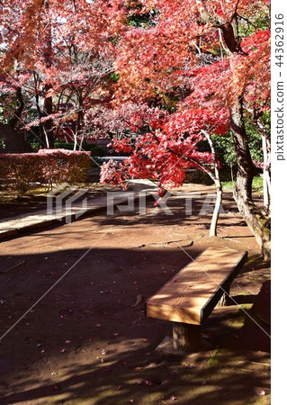Hirabayashi寺廟地面到達了色的葉子的峰頂 Hirabayashi寺廟地面到達了色的葉子的峰頂 44362916
