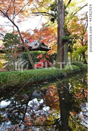 Hirabayashi寺廟地面到達了色的葉子的峰頂 Hirabayashi寺廟地面到達了色的葉子的峰頂 44362924