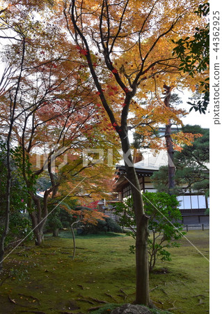Hirabayashi寺廟地面到達了色的葉子的峰頂 44362925