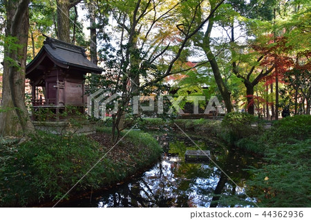 Hirabayashi寺廟地面到達了色的葉子的峰頂 Hirabayashi寺廟地面到達了色的葉子的峰頂 44362936