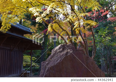 Hirabayashi寺廟地面到達了色的葉子的峰頂 Hirabayashi寺廟地面到達了色的葉子的峰頂 44362941
