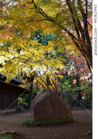 Hirabayashi寺廟地面到達了色的葉子的峰頂 Hirabayashi寺廟地面到達了色的葉子的峰頂 44362943