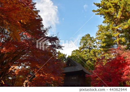 Hirabayashi寺廟地面到達了色的葉子的峰頂 Hirabayashi寺廟地面到達了色的葉子的峰頂 44362944