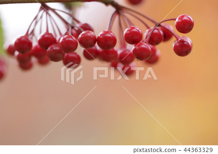 呼氣 呼氣 44363329