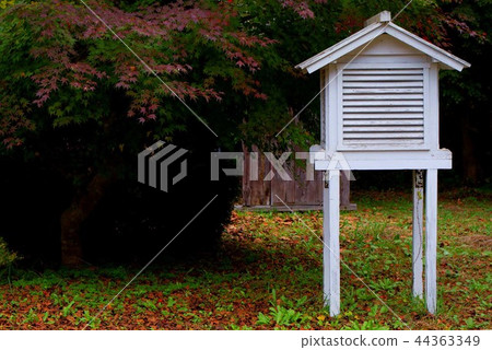 Hyogo Prefecture 44363349