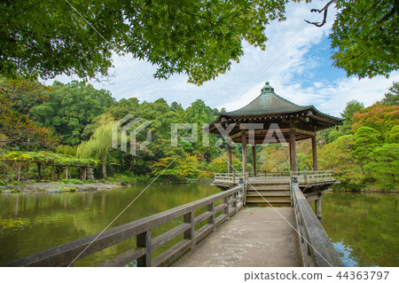 成田市成田公園 照片素材 圖片 圖庫