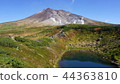 北海道Daisetsuyama Asahidake 44363810