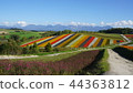 北海道Biei Shikisai no Oka 44363812